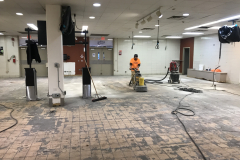 Flooring-Removal-and-Flooring-Prep